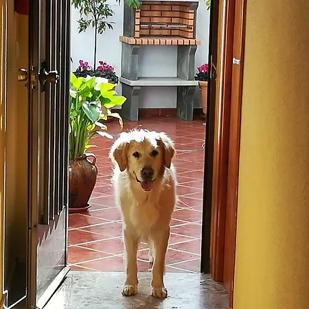 La Herencia Casa rural